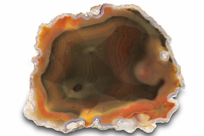 Colorful, Polished Condor Agate - Argentina #290914